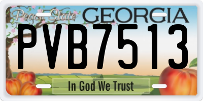 GA license plate PVB7513