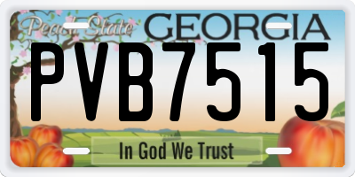 GA license plate PVB7515