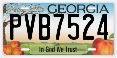 GA license plate PVB7524
