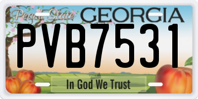GA license plate PVB7531