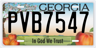GA license plate PVB7547