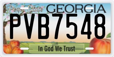 GA license plate PVB7548