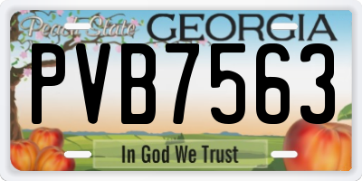 GA license plate PVB7563