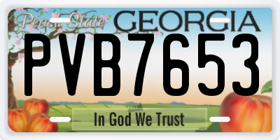 GA license plate PVB7653