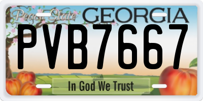 GA license plate PVB7667