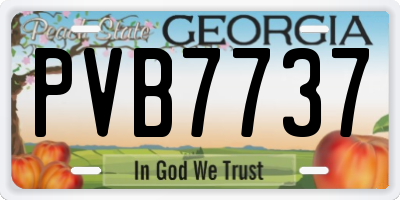 GA license plate PVB7737