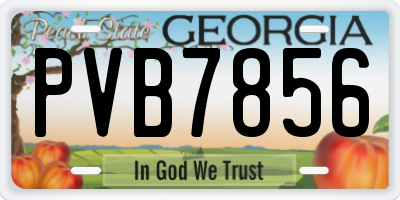 GA license plate PVB7856