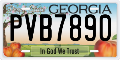 GA license plate PVB7890