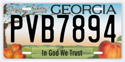 GA license plate PVB7894