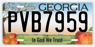 GA license plate PVB7959