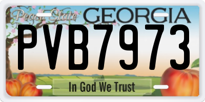GA license plate PVB7973