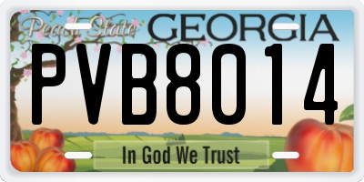 GA license plate PVB8014