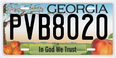 GA license plate PVB8020