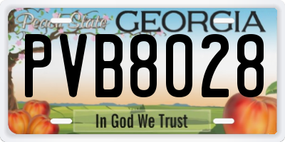 GA license plate PVB8028