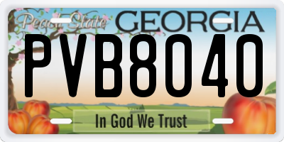 GA license plate PVB8040