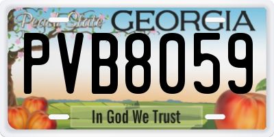 GA license plate PVB8059