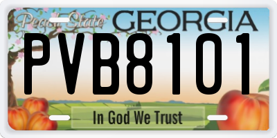 GA license plate PVB8101