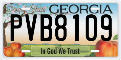 GA license plate PVB8109