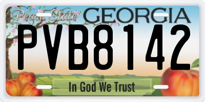 GA license plate PVB8142