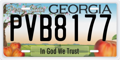 GA license plate PVB8177