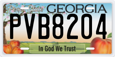 GA license plate PVB8204