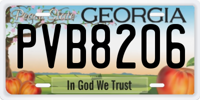 GA license plate PVB8206