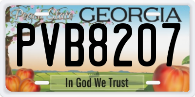 GA license plate PVB8207
