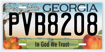 GA license plate PVB8208