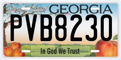 GA license plate PVB8230