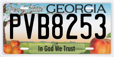 GA license plate PVB8253