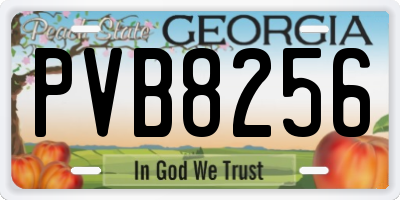 GA license plate PVB8256
