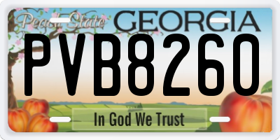 GA license plate PVB8260
