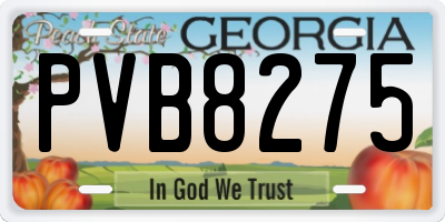 GA license plate PVB8275