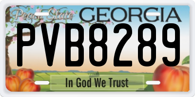 GA license plate PVB8289