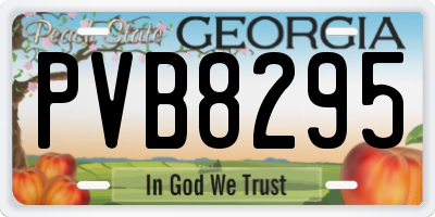 GA license plate PVB8295