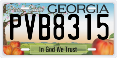 GA license plate PVB8315