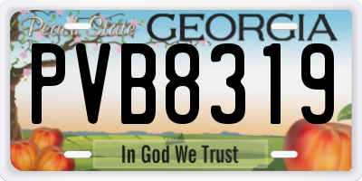 GA license plate PVB8319