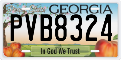GA license plate PVB8324