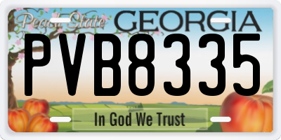 GA license plate PVB8335
