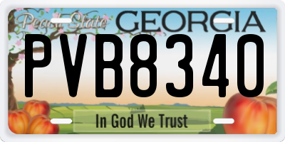 GA license plate PVB8340