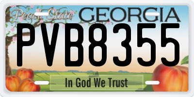 GA license plate PVB8355