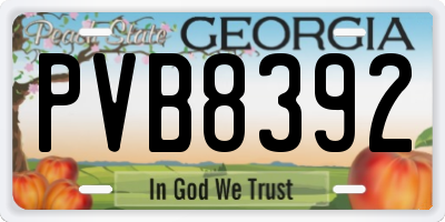 GA license plate PVB8392