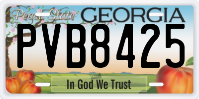 GA license plate PVB8425