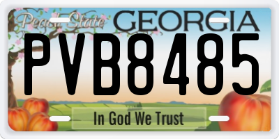 GA license plate PVB8485