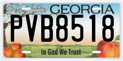 GA license plate PVB8518