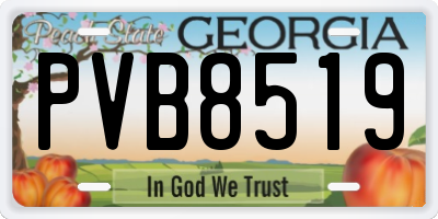 GA license plate PVB8519
