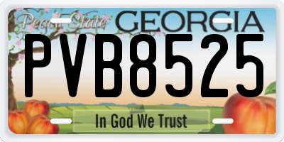 GA license plate PVB8525