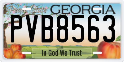GA license plate PVB8563