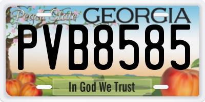 GA license plate PVB8585