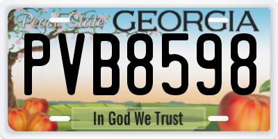 GA license plate PVB8598